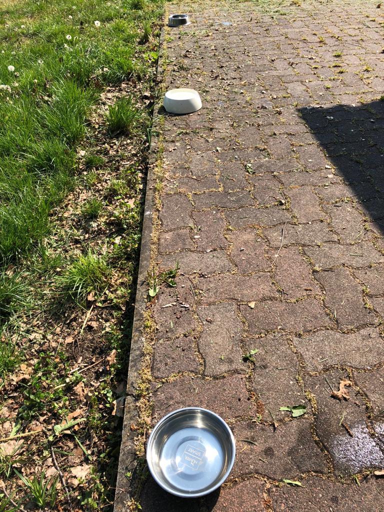 Korrektes Distancing!